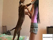 Chat de Zoofilia