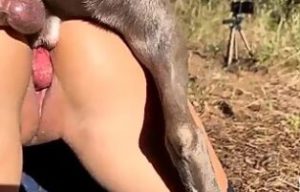 Grupos de Telegram Porn Real Zoofilia