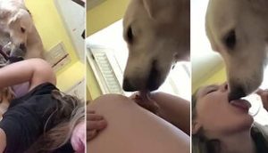 Grupos de Telegram Cachorros e Zoofilia