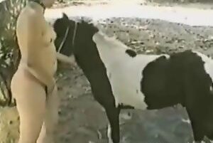 Quero ZOO