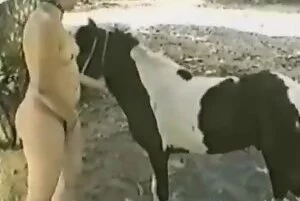 Quero ZOO