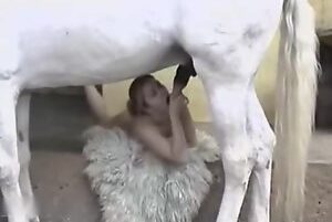 Zoo filia 2025