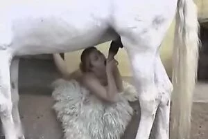 Zoo filia 2025