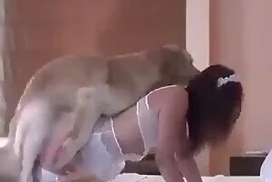 Sexo e Animais