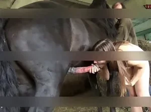 Grupos de Telegram Zofilia em casa