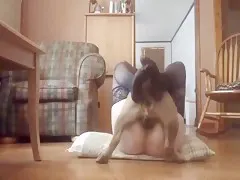 Zoo com Tesão