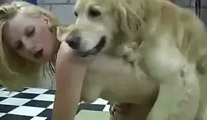 Zoofilia na TV