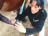 Animal Sexo