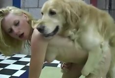 Zoofilia Canina
